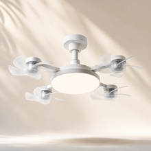 Solunaliv Aura™ Ceiling Light Fan